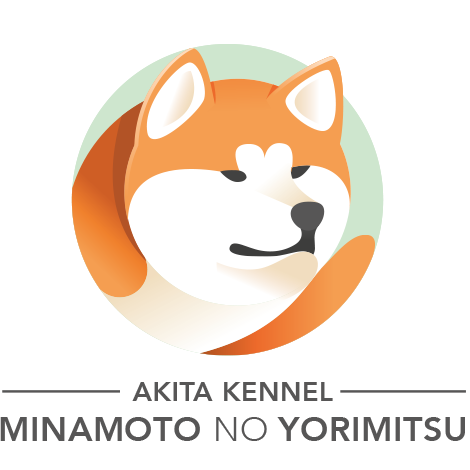 Minamoto No Yorimitsu